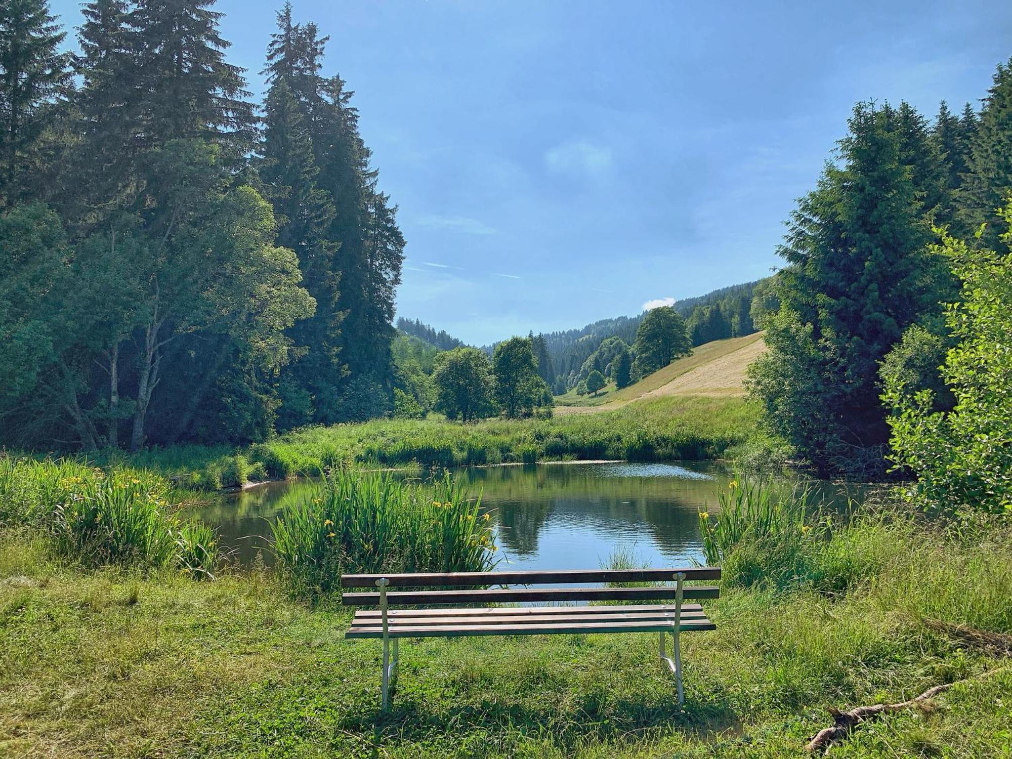 Erzgebirge Suite Bergruhe Oberwiesenthal Ngoại thất bức ảnh